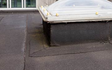 disadvantages of Highlanes flat roofs