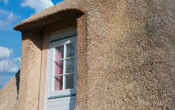 Highlanes thatch roof disadvantages